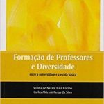 Formação de professores e diversidade entre a universidade e a escola básica